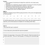 50 Dna Structure Worksheet Answer | Chessmuseum Template Library Within Dna Structure Worksheet Answer