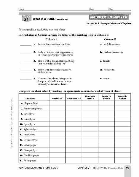 50 Domains And Kingdoms Worksheet | Chessmuseum Template Library with regard to Domains And Kingdoms Worksheet