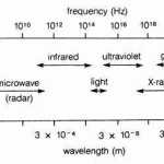 50 Electromagnetic Spectrum Worksheet High School | Chessmuseum Template Library In Electromagnetic Spectrum Worksheet High School