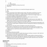 50 Energy Flow In Ecosystems Worksheet | Chessmuseum Template Library Inside Energy Flow In Ecosystems Worksheet