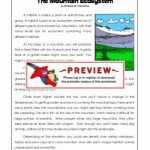 50 Energy Flow In Ecosystems Worksheet | Chessmuseum Template Library Intended For Energy Flow In Ecosystems Worksheet