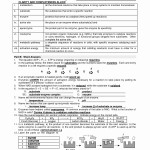 50 Enzyme Reactions Worksheet Answer Key | Chessmuseum Template Library Inside Enzyme Reactions Worksheet Answer Key