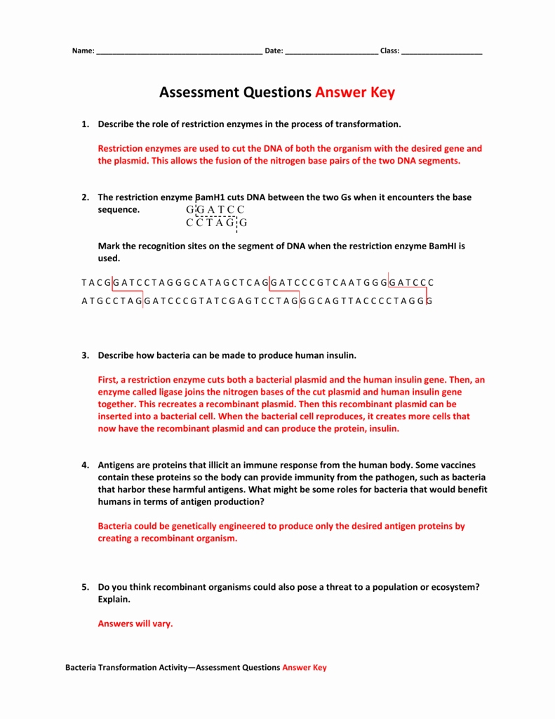 50 Enzyme Reactions Worksheet Answer Key | Chessmuseum Template Library Regarding Enzyme Review Worksheet Answers