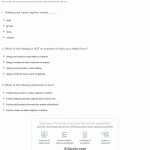 50 Friction And Gravity Worksheet Answers | Chessmuseum Template Library Inside Friction And Gravity Worksheet Answers