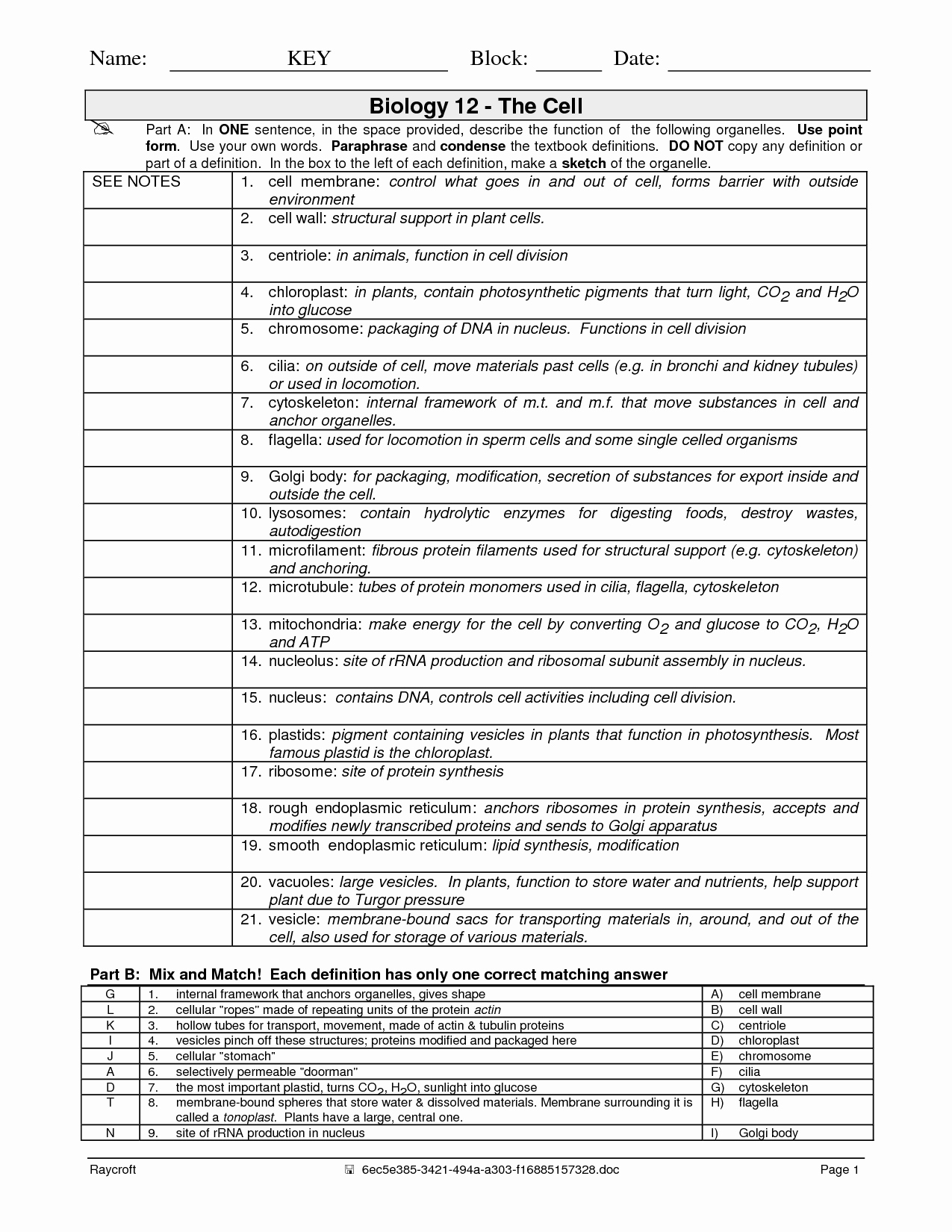 50 Function Of The Organelles Worksheet | Chessmuseum Template Library Regarding Function Of The Organelles Worksheet