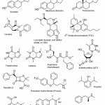 50 Functional Group Practice Worksheet | Chessmuseum Template Library Intended For Functional Group Practice Worksheet