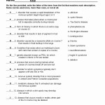50 Genetic Mutation Worksheet Answer Key | Chessmuseum Template Library in Genetic Mutation Worksheet Answer Key