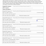 50 Genetic Mutation Worksheet Answer Key | Chessmuseum Template Library intended for Gene And Chromosome Mutation Worksheet