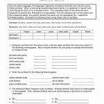 50 Genetic Mutation Worksheet Answer Key | Chessmuseum Template Library With Regard To Genetic Mutations Worksheet Answer Key