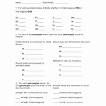 50 Genetics Problems Worksheet Answer Key | Chessmuseum Template Library With Genetics Problems Worksheet Answer Key