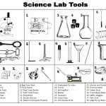 50 Lab Safety Worksheet Answers | Chessmuseum Template Library regarding Lab Safety Worksheet Answers
