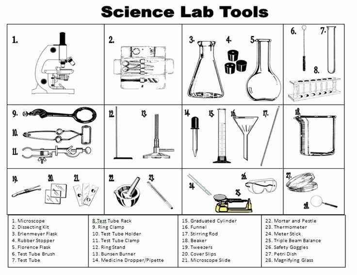50 Lab Safety Worksheet Answers | Chessmuseum Template Library regarding Lab Safety Worksheet Answers