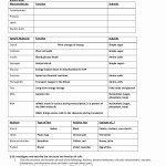 50 Lipids Worksheet Answer Key | Chessmuseum Template Library In Lipids Worksheet Answer Key