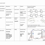 50 Macromolecules Worksheet #2 Answers | Chessmuseum Template Library With Macromolecules Worksheet 2 Answers