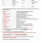 50 Macromolecules Worksheet #2 Answers | Chessmuseum Template Library Within Building Macromolecules Worksheet Answers