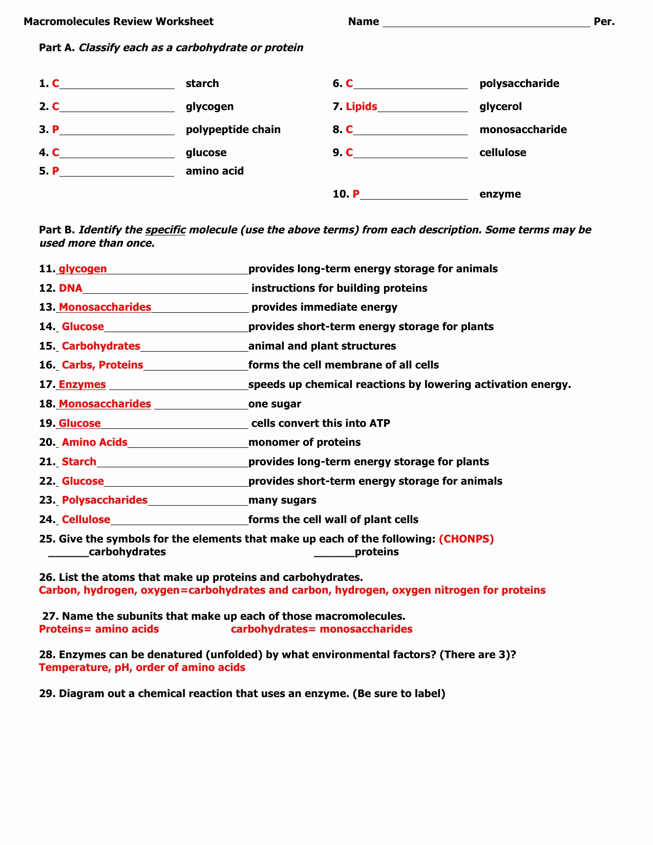 50 Macromolecules Worksheet #2 Answers | Chessmuseum Template Library Within Building Macromolecules Worksheet Answers