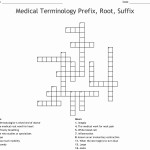 50 Medical Terminology Prefixes Worksheet | Chessmuseum Template Library Pertaining To Medical Terminology Prefixes Worksheet