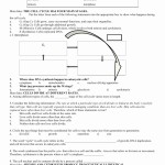 50 Meiosis Worksheet Vocabulary Answers | Chessmuseum Template Library Within Meiosis Worksheet Vocabulary Answers