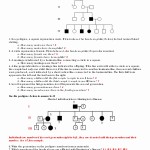 50 Mendelian Genetics Worksheet Answer Key | Chessmuseum Template Library For Mendelian Genetics Worksheet Answer Key