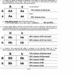 50 Mendelian Genetics Worksheet Answer Key | Chessmuseum Template Library Inside Mendelian Genetics Worksheet Answers