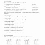 50 Mendelian Genetics Worksheet Answer Key | Chessmuseum Template Library Pertaining To Mendelian Genetics Worksheet Answer Key