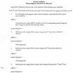 50 Negative Exponents Worksheet Pdf | Chessmuseum Template Library Inside Negative Exponents Worksheet Pdf