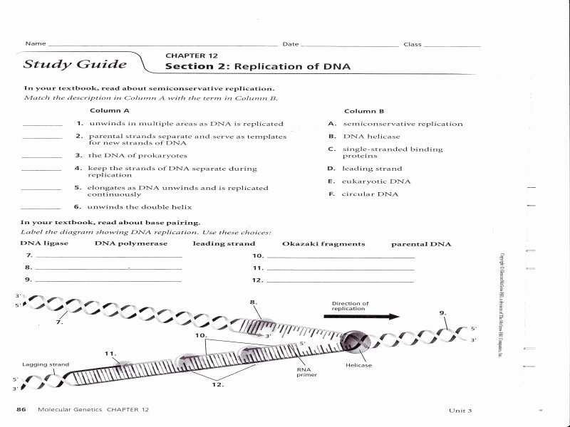 50 Nucleic Acids Worksheet Answers | Chessmuseum Template Library in Nucleic Acids Worksheet Answers