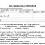 50 Passive Transport Worksheet Answers | Chessmuseum Template Library Throughout Passive Transport Worksheet Answers