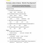 50 Photosynthesis Worksheet Middle School | Chessmuseum Template Library In Photosynthesis Worksheet Middle School