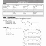 50 Protein Synthesis Review Worksheet Answers | Chessmuseum Template Library Pertaining To Cosmos Episode 1 Worksheet Answers