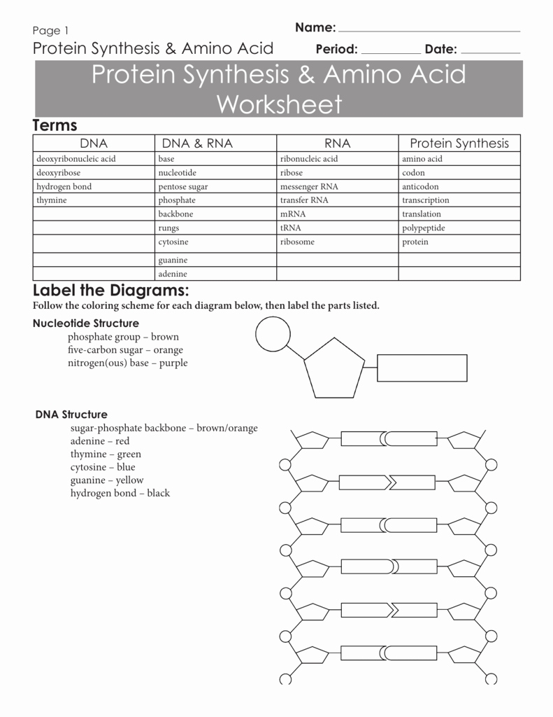 50 Protein Synthesis Review Worksheet Answers | Chessmuseum Template Library Pertaining To Cosmos Episode 1 Worksheet Answers