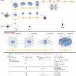 50 Quantum Numbers Worksheet Answers | Chessmuseum Template Library With Regard To Quantum Numbers Worksheet Answers