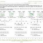 50 Relations And Functions Worksheet | Chessmuseum Template Library Within Relations And Functions Worksheet
