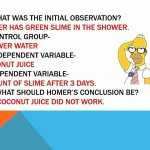 50 Simpsons Variables Worksheet Answers | Chessmuseum Template Library throughout Simpsons Variables Worksheet Answers
