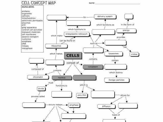 50 Skills Worksheet Concept Mapping | Chessmuseum Template Library regarding Skills Worksheet Concept Mapping