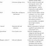 50 Soil Formation Worksheet Answers | Chessmuseum Template Library Intended For Soil Formation Worksheet Answers