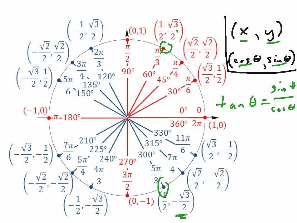 50 Unit Circle Practice Worksheet | Chessmuseum Template Library Within Unit Circle Practice Worksheet