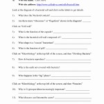 50 Virus And Bacteria Worksheet Answers | Chessmuseum Template Library Regarding Upfront Magazine Worksheet Answers