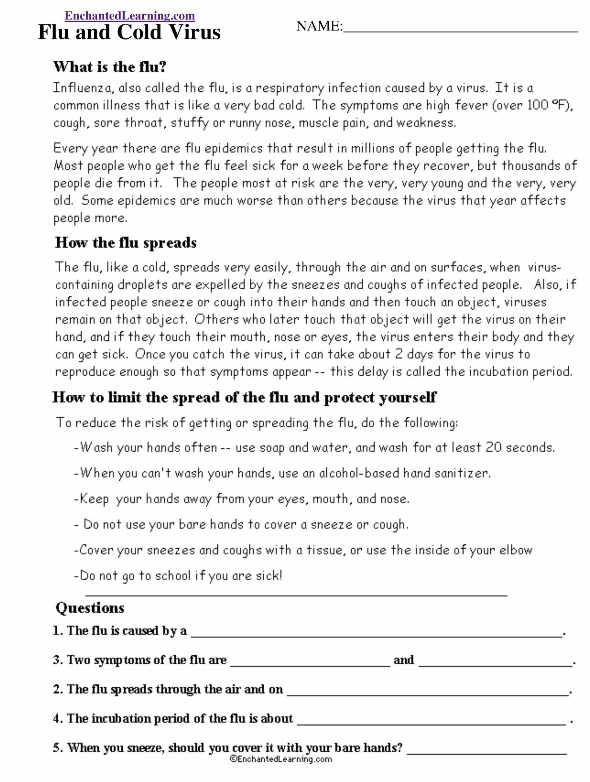 50 Virus And Bacteria Worksheet Answers | Chessmuseum Template Library with Upfront Magazine Worksheet Answers