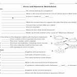50 Viruses And Bacteria Worksheet | Chessmuseum Template Library Within Virus And Bacteria Worksheet Key