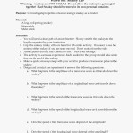 50 Waves Worksheet Answer Key | Chessmuseum Template Library In Worksheet Labeling Waves Answer Key
