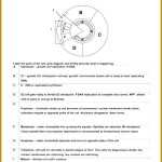 7 Onion Cell Mitosis Worksheet | Fabtemplatez Inside Onion Cell Mitosis Worksheet Answers
