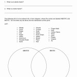 Abiotic Vs Biotic Factors Worksheet Regarding Abiotic Vs Biotic Factors Worksheet Answers