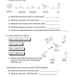 Act Food Webs And Food Chains Worksheet Throughout Food Web Worksheet Answers