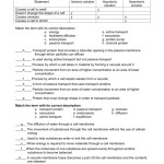 Active And Passive Transport Worksheet Answers — Db Excel With Passive And Active Transport Worksheet
