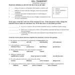 Active And Passive Transport Worksheet Soccerphysicsonline — Db Excel With Regard To Passive And Active Transport Worksheet