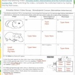 Amoeba Sisters Monohybrid Crosses Worksheet Answers – Ehydepark For Monohybrid Crosses Worksheet Answers