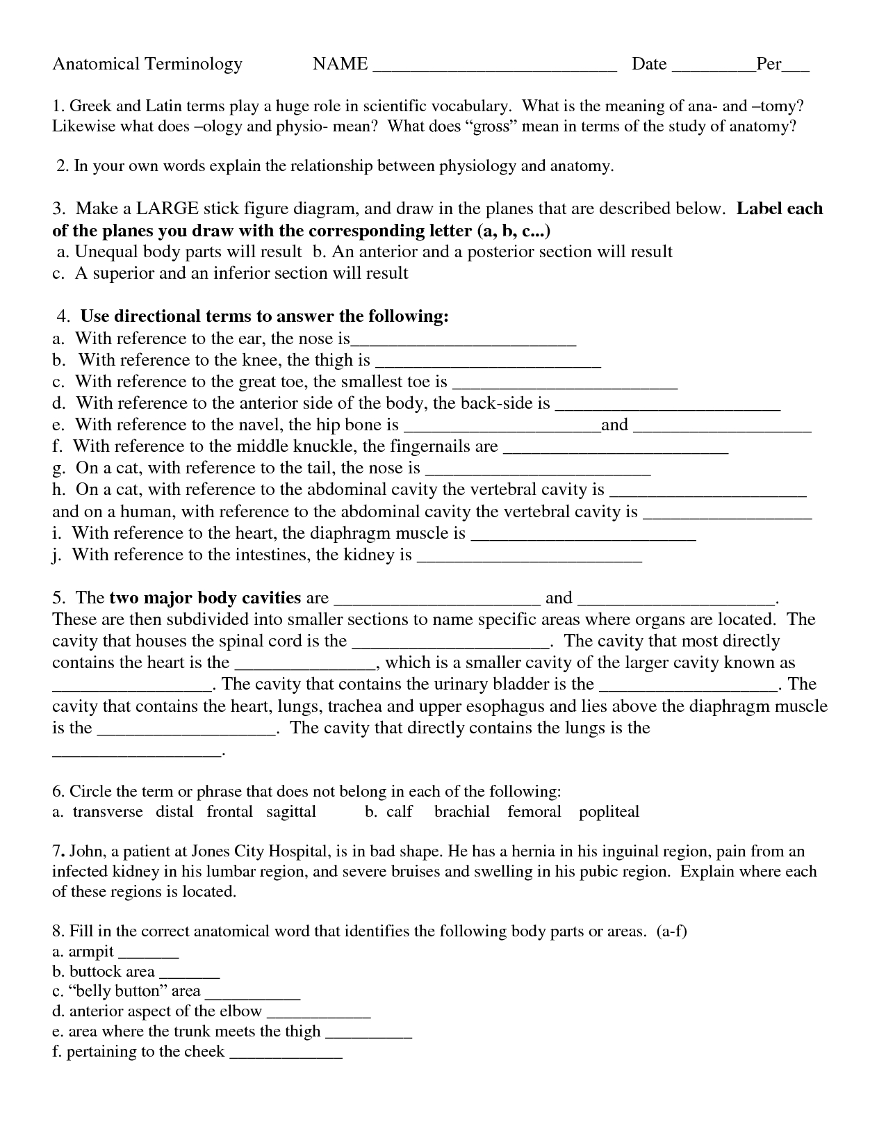 Anatomical Terminology Worksheet 1 Answer Key intended for Anatomical Terms Worksheet Answers