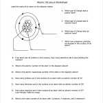 Atomic Basics Worksheet Answers regarding Atoms Worksheet Middle School