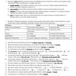 Atomic Structure Review Worksheet Within Atomic Structure Review Worksheet